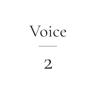 Voice 2