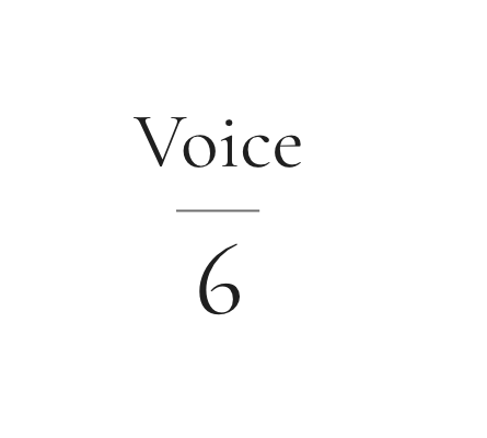 Voice 6